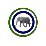 Pan African Allstars Radio logo