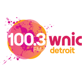 100.3 WNIC logo