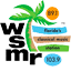 WSMR Classical 89.1 FM logo
